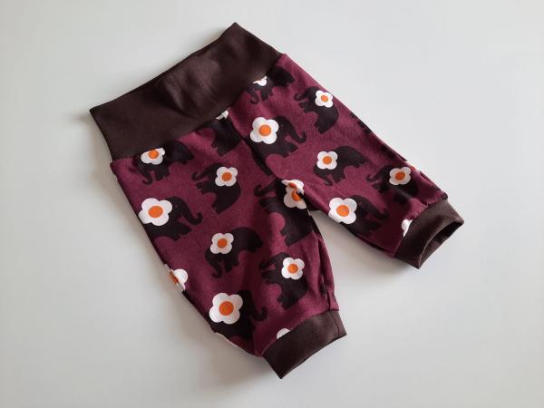 Babyhösli Elefanten Bordeaux